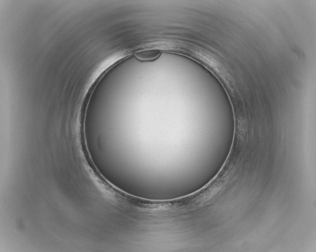 X0000116061426200912041845