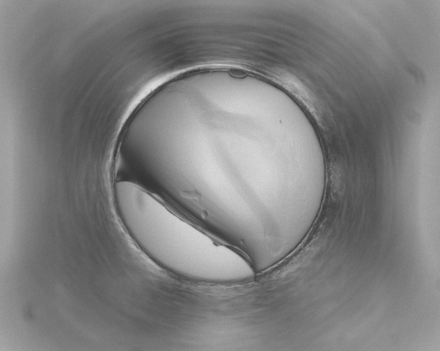 X0000116061428200912041845