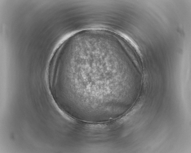 X0000116061429200912041845