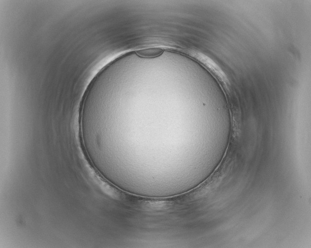 X0000116061431200912041845