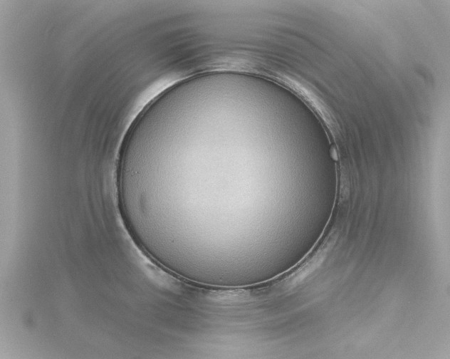 X0000116061434200912041845