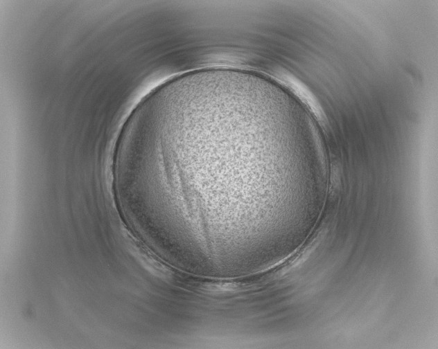 X0000116061435200912041845