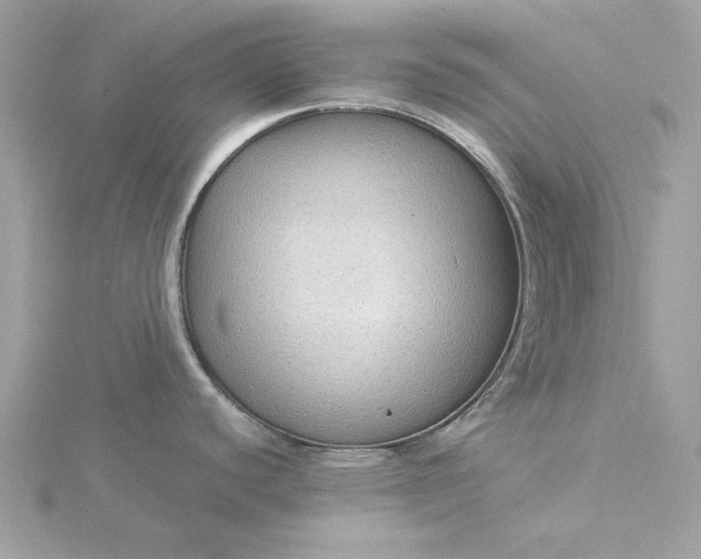 X0000116061440200912041845