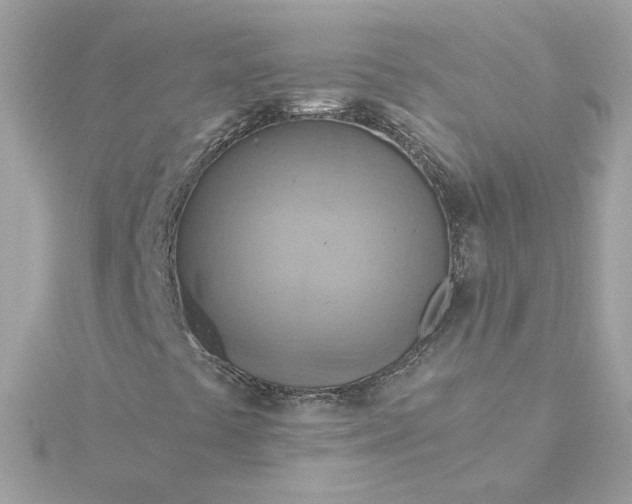 X0000116061441200912041844