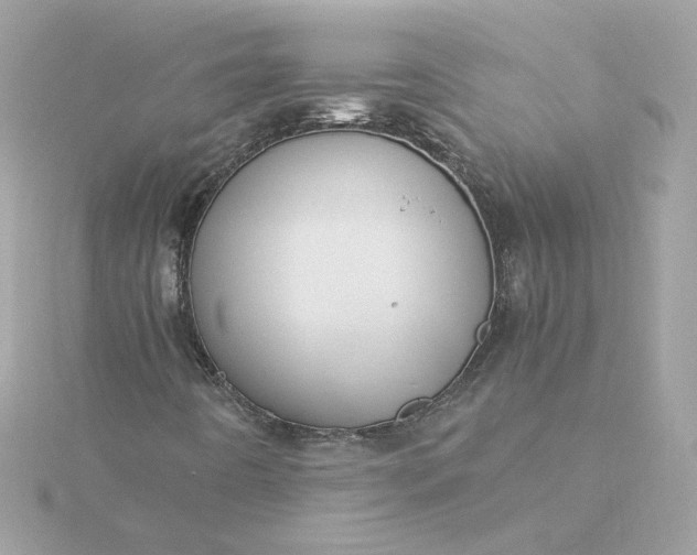 X0000116061442200912041844