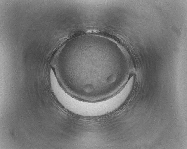 X0000116061444200912041844