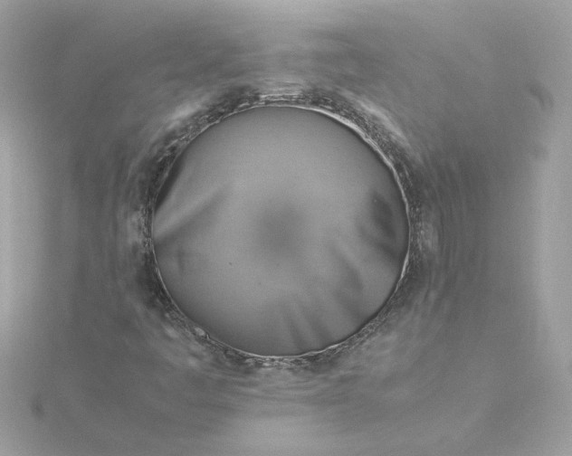 X0000116061445200912041844