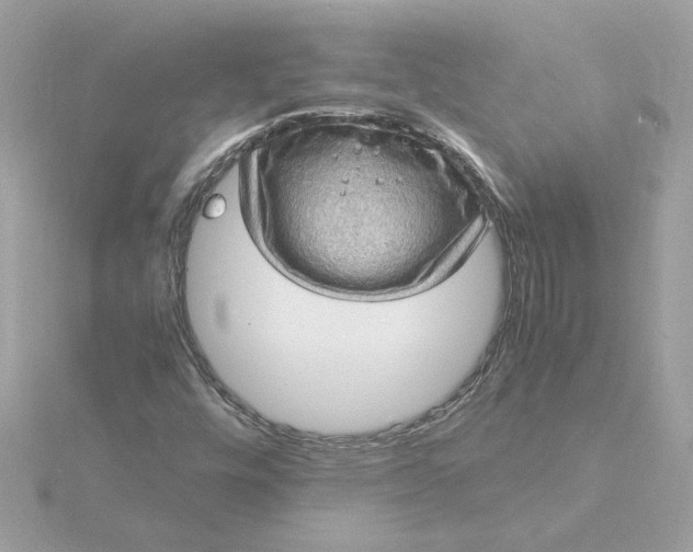 X0000116061448200912041844