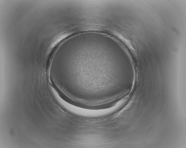 X0000116061453200912041844