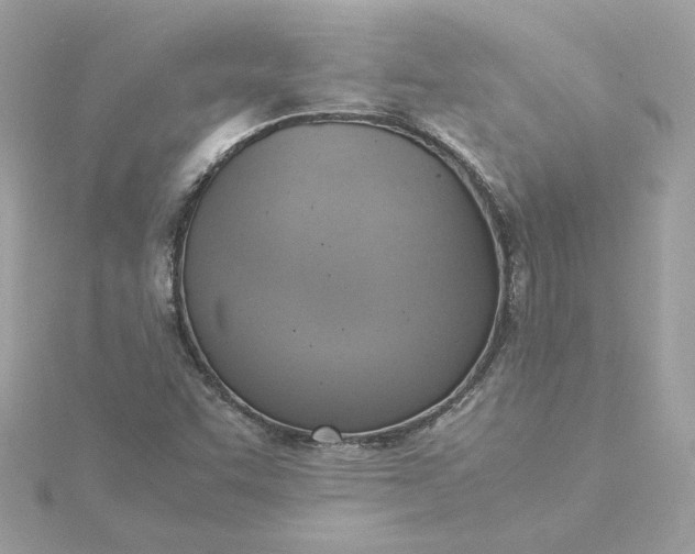 X0000116061455200912041844