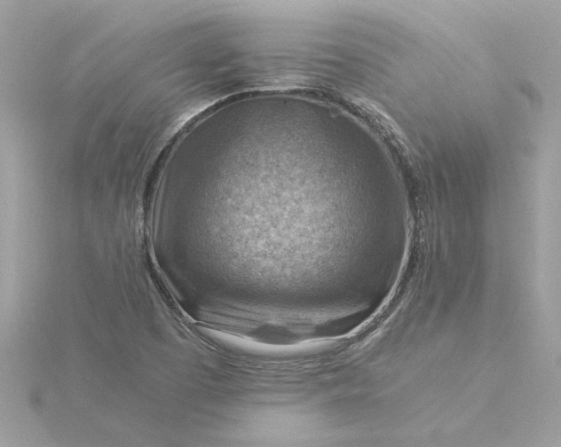 X0000116061457200912041844