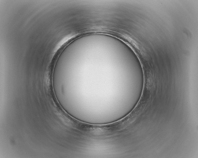 X0000116061458200912041844