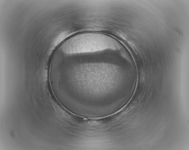 X0000116061459200912041844