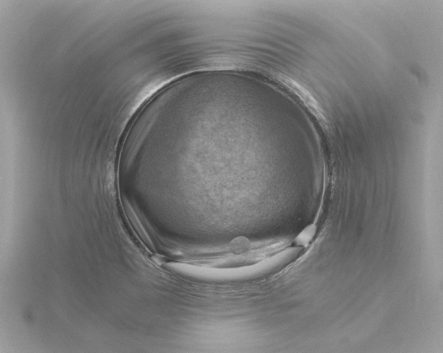 X0000116061465200912041844