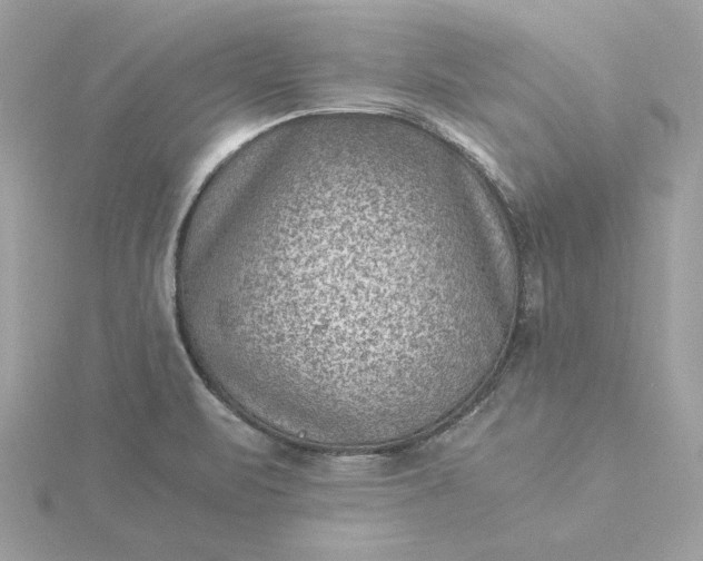 X0000116061471200912041844