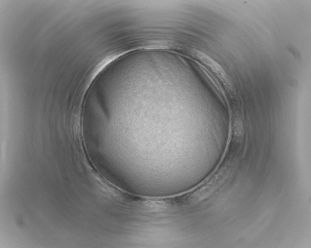 X0000116061473200912041844