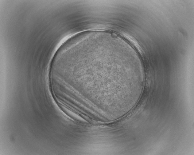 X0000116061475200912041844