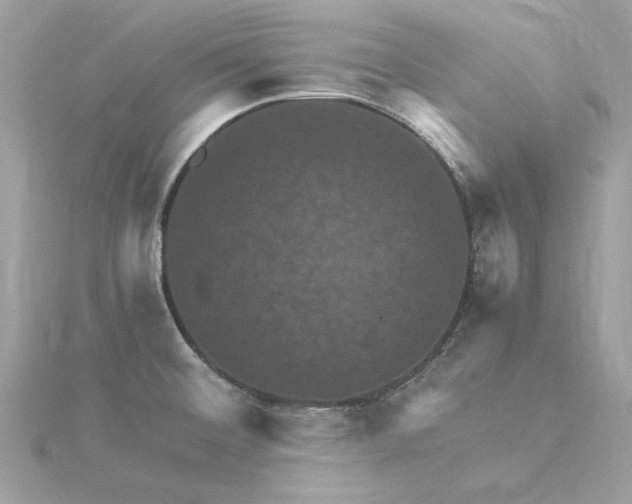 X0000116061476200912041844