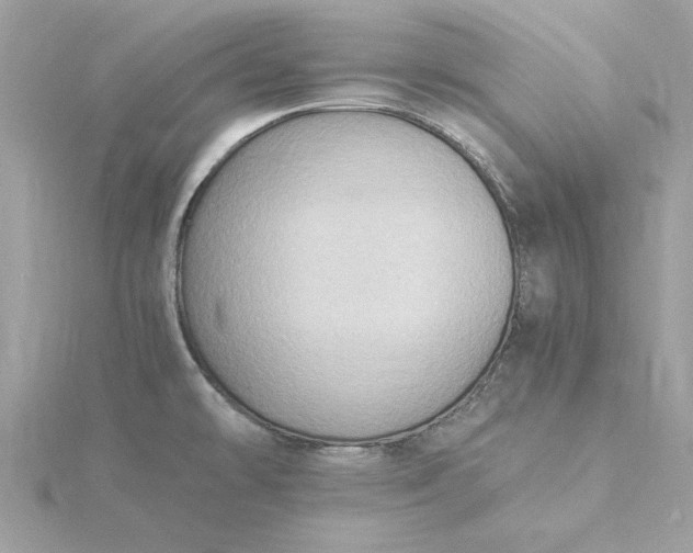 X0000116061478200912041844