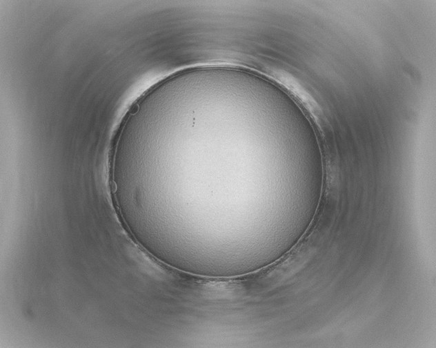 X0000116061480200912041844