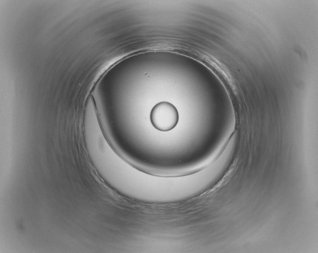 X0000116061481200912041844