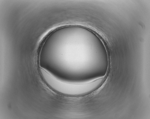 X0000116061502200912041843