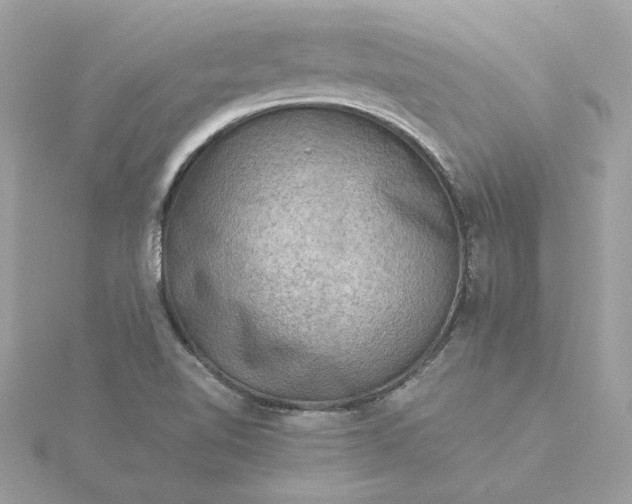 X0000116061510200912041843