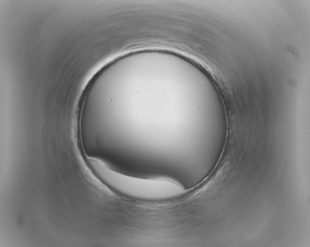X0000116061518200912041843
