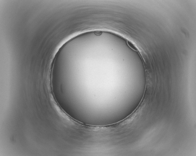 X0000116061534200912041843