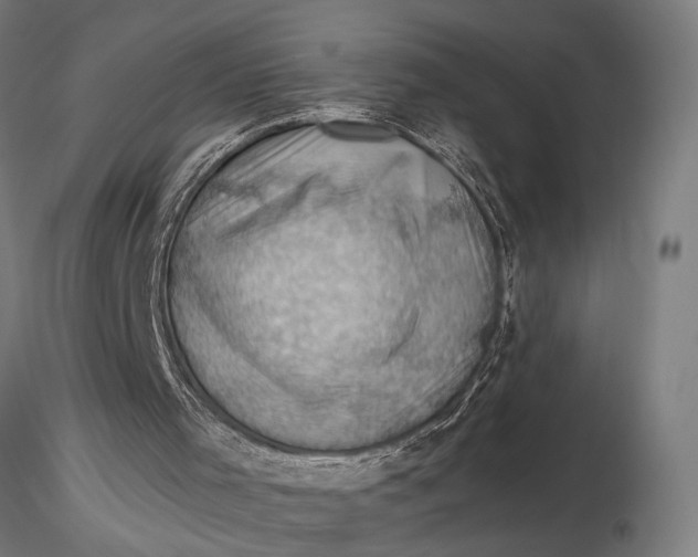 X0000116060001200912111539