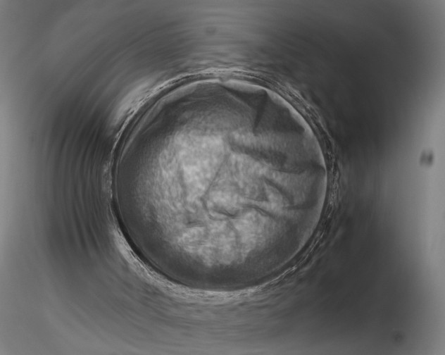 X0000116060002200912111539