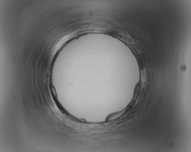 X0000116060003200912111539