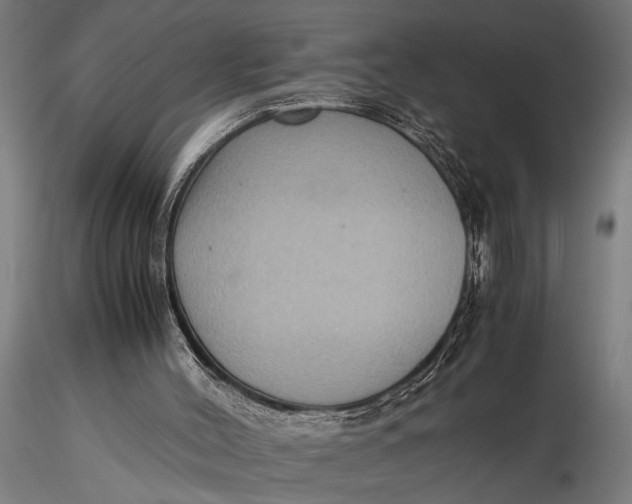 X0000116060004200912111539