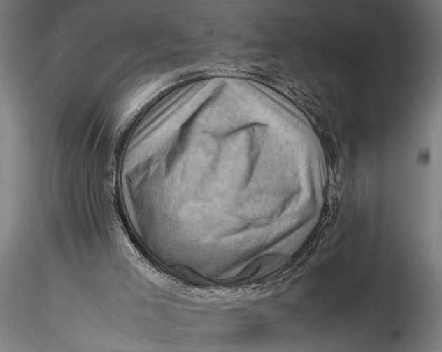 X0000116060005200912111539