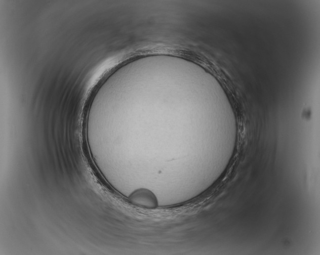 X0000116060006200912111539