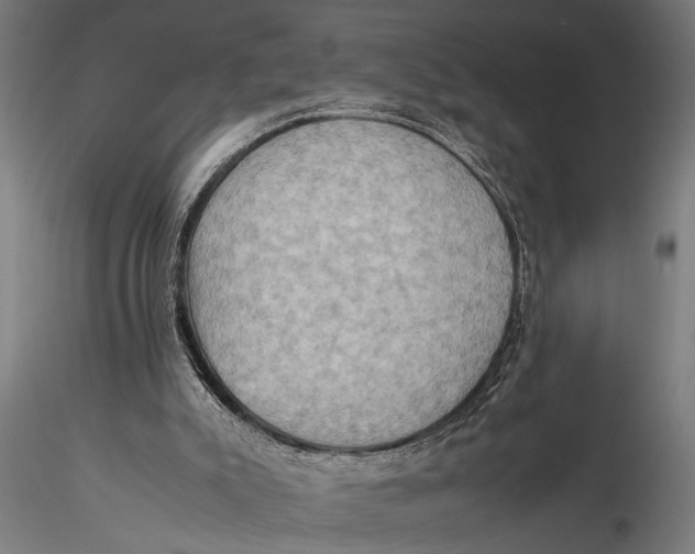 X0000116060007200912111539