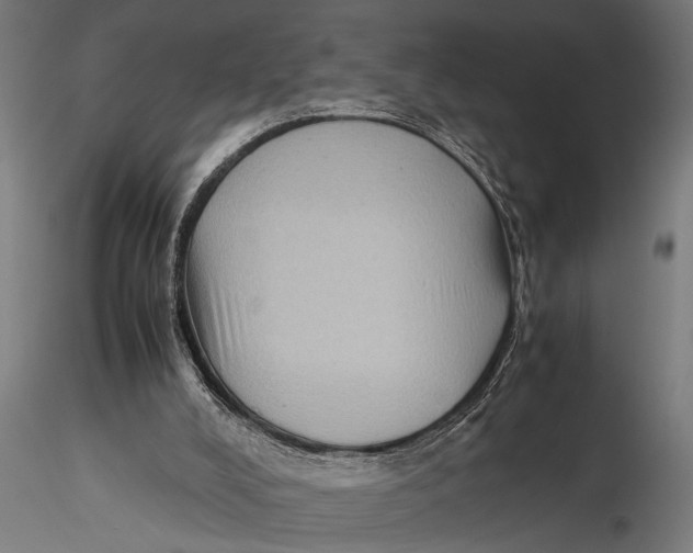 X0000116060008200912111539