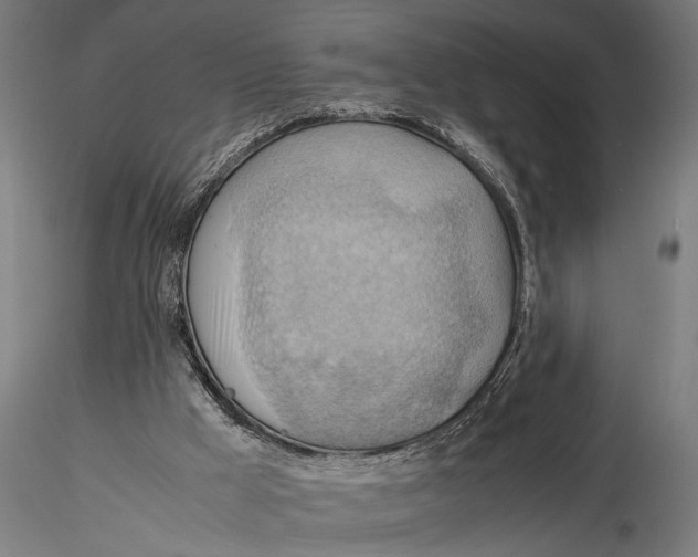 X0000116060009200912111539