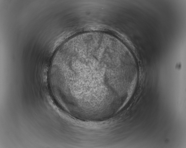 X0000116060010200912111539