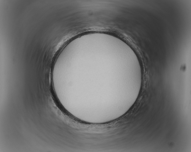 X0000116060011200912111539