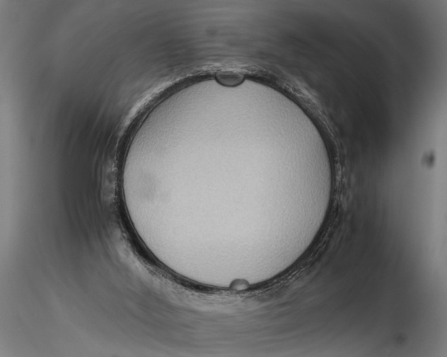 X0000116060012200912111539