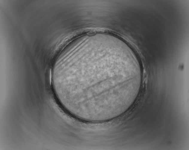 X0000116060013200912111539