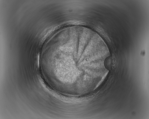 X0000116060014200912111539