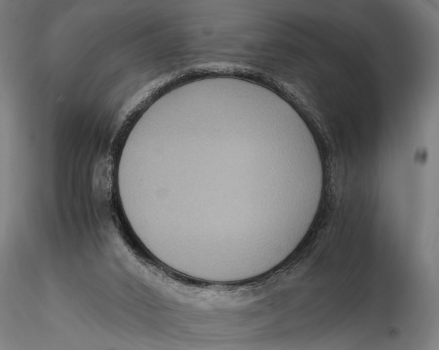 X0000116060016200912111539