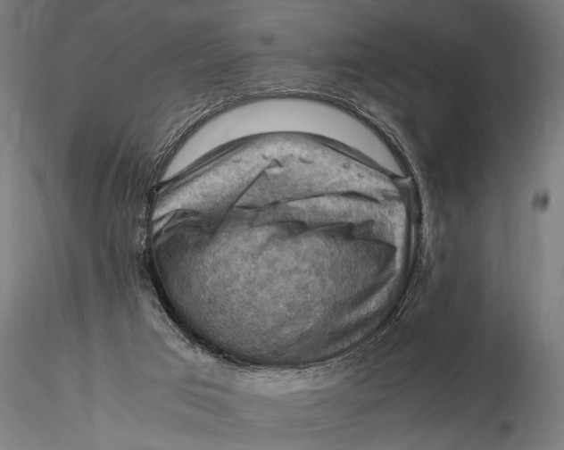 X0000116060017200912111539