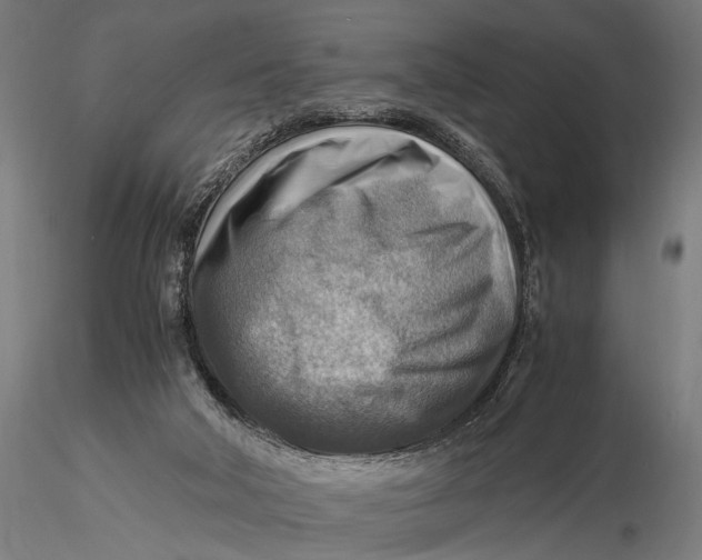 X0000116060018200912111539
