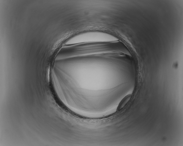 X0000116060019200912111539
