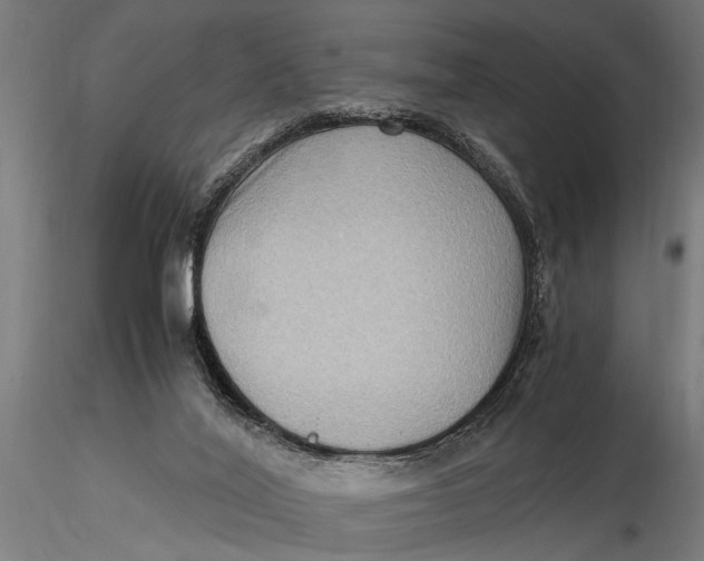 X0000116060020200912111538