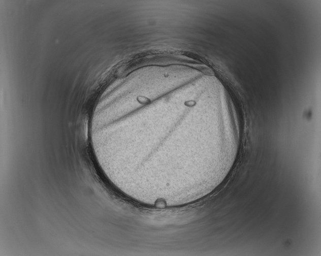 X0000116060021200912111538