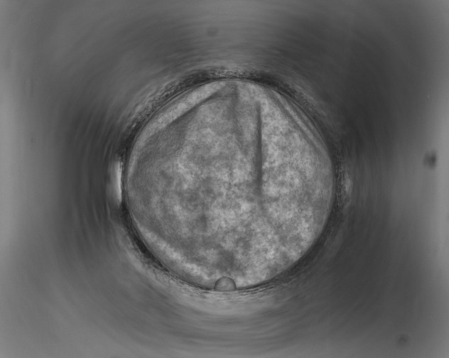 X0000116060022200912111538